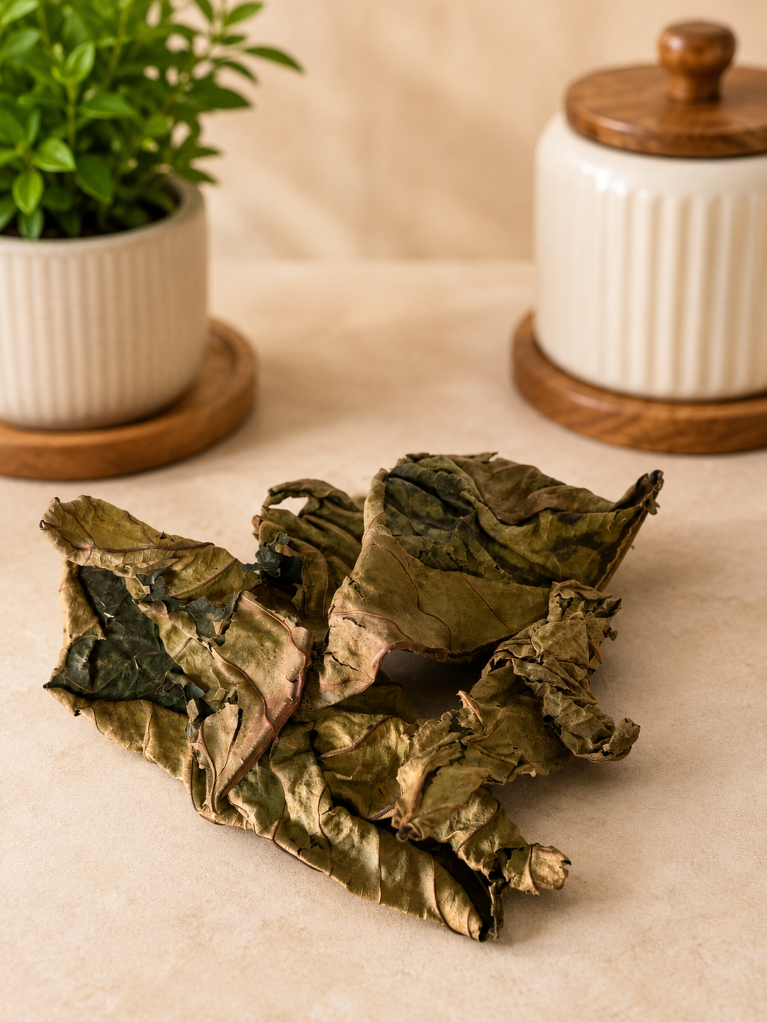 Djeka leaf